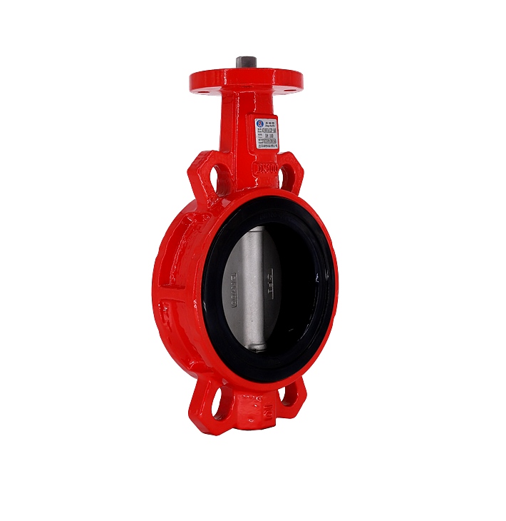 無靠背對(duì)夾式無頭蝶閥