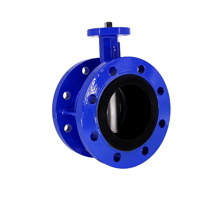 法蘭式無(wú)頭蝶閥