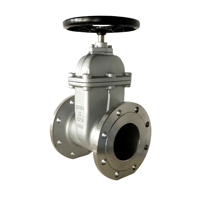 不銹鋼-彈性閘閥