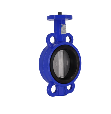 有靠背對(duì)夾式無(wú)頭蝶閥