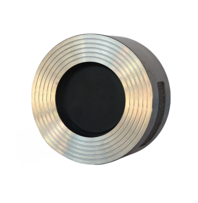 對夾式升降式止回閥